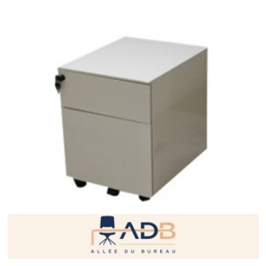 CAISSON METALLIQUE BEIGE