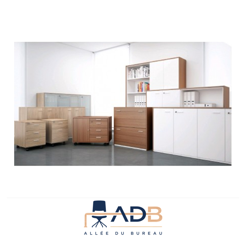 ARMOIRE DE BUREAU MANSUE