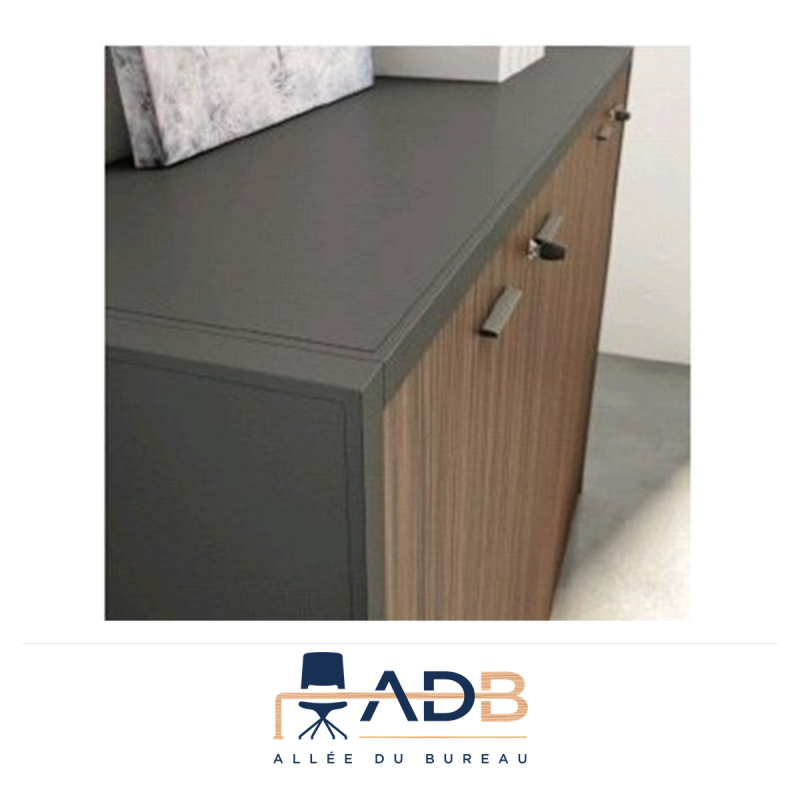 ARMOIRE DE BUREAU MANSUE